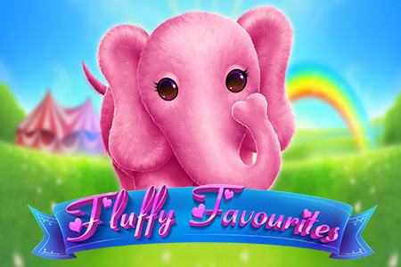 Fluffy Favourites